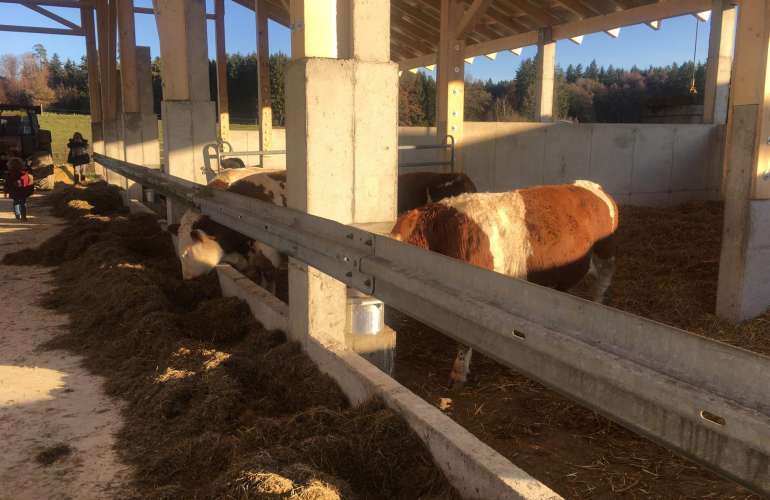 Kuhstallbau Münsterhausen